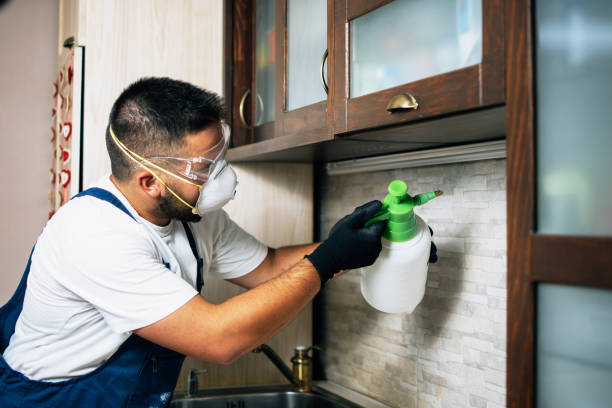 Best Best Pest Control Companies  in Buffalo, TX