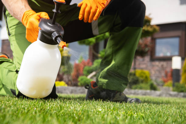 Best Commercial Pest Control Services  in Buffalo, TX