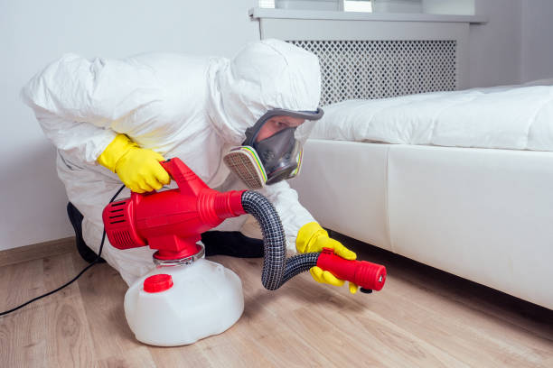 Best Wasp Removal Services  in Buffalo, TX