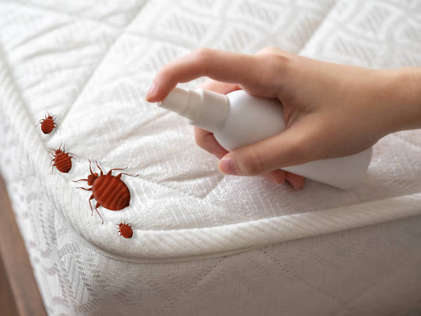 Best Best Pest Control Companies  in Buffalo, TX